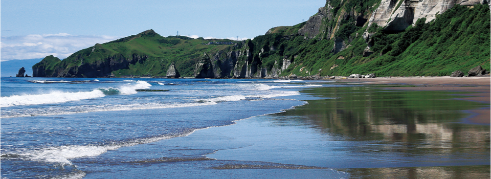 室蘭歯科医師会公式ホームページ・救急当番